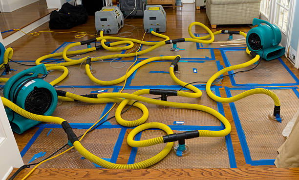 Professional Water Extraction technician working in Waltham, MN